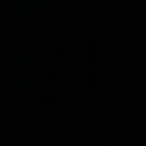 Meet your Posher, Owen